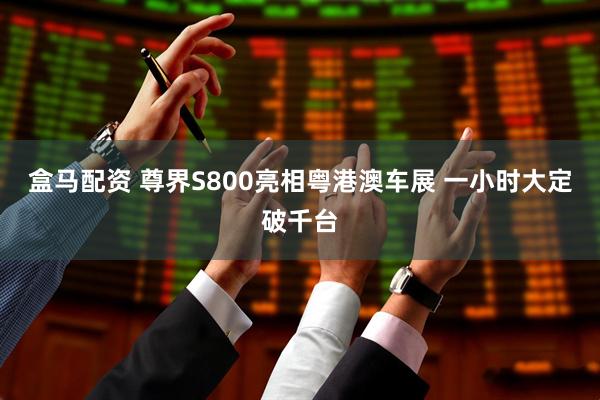盒马配资 尊界S800亮相粤港澳车展 一小时大定破千台