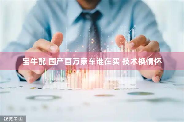 宝牛配 国产百万豪车谁在买 技术换情怀