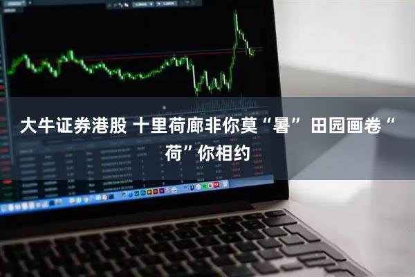 大牛证券港股 十里荷廊非你莫“暑” 田园画卷“荷”你相约