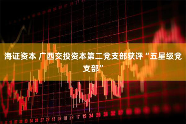 海证资本 广西交投资本第二党支部获评“五星级党支部”