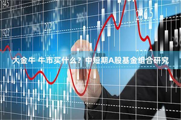 大金牛 牛市买什么？中短期A股基金组合研究