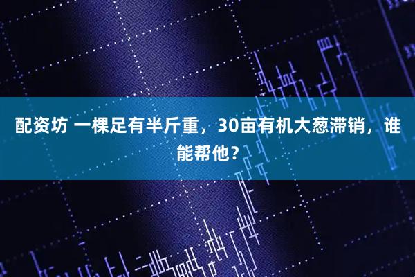 配资坊 一棵足有半斤重，30亩有机大葱滞销，谁能帮他？