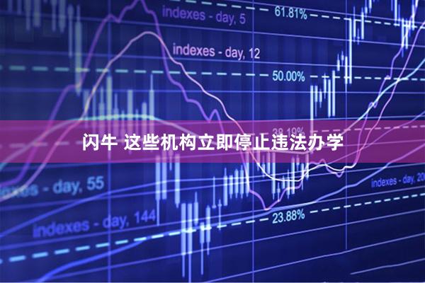 闪牛 这些机构立即停止违法办学