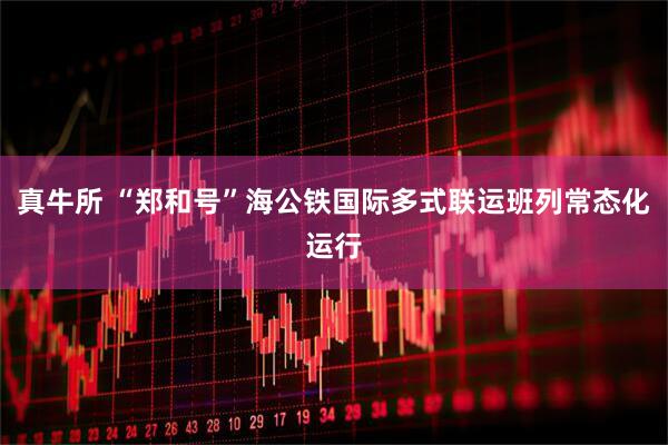 真牛所 “郑和号”海公铁国际多式联运班列常态化运行