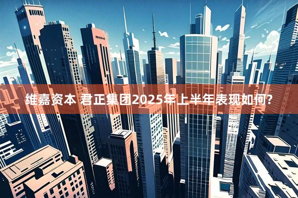 维嘉资本 君正集团2025年上半年表现如何?