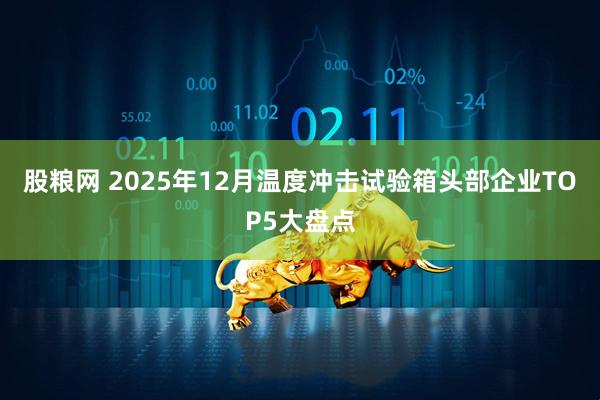 股粮网 2025年12月温度冲击试验箱头部企业TOP5大盘点