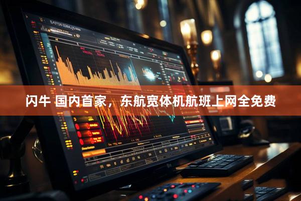 闪牛 国内首家,东航宽体机航班上网全免费
